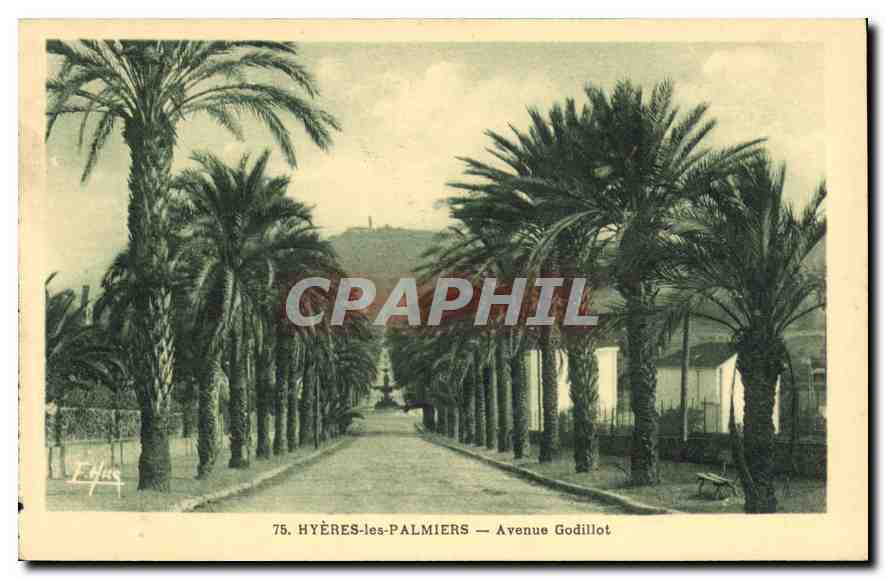 Hyères-les-Palmiers — Avenue Godillot — Éditeur E. Allas, n°75