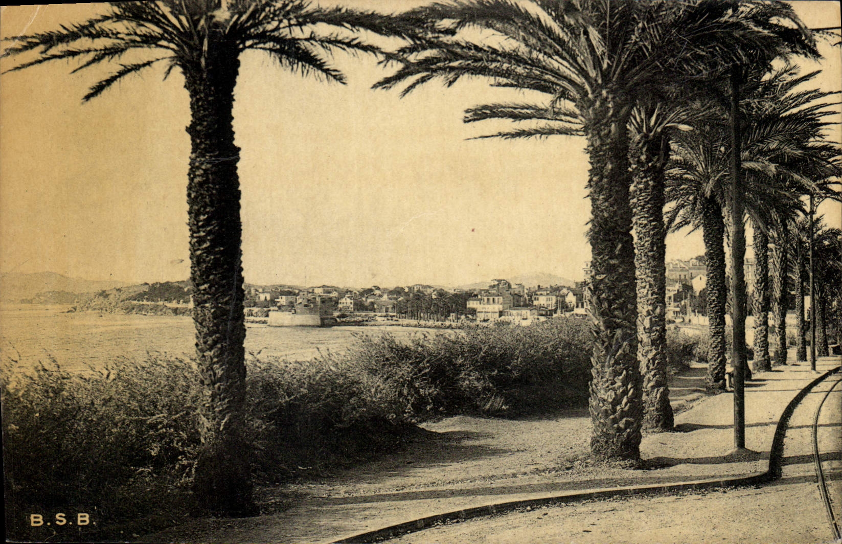 Toulon - Les Palmiers — Boulevard du Littoral — éditeur B.S.B. n° 27