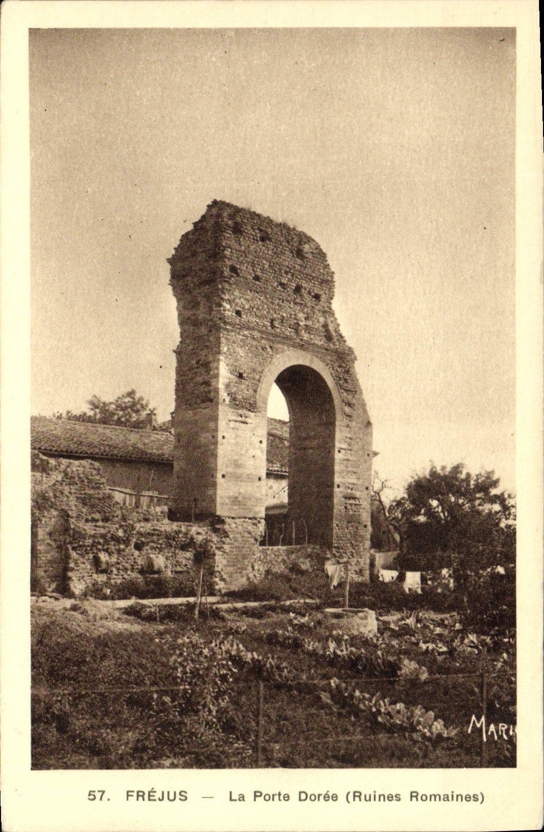 CPA Frejus La Porte Doree Ruines Romaines 