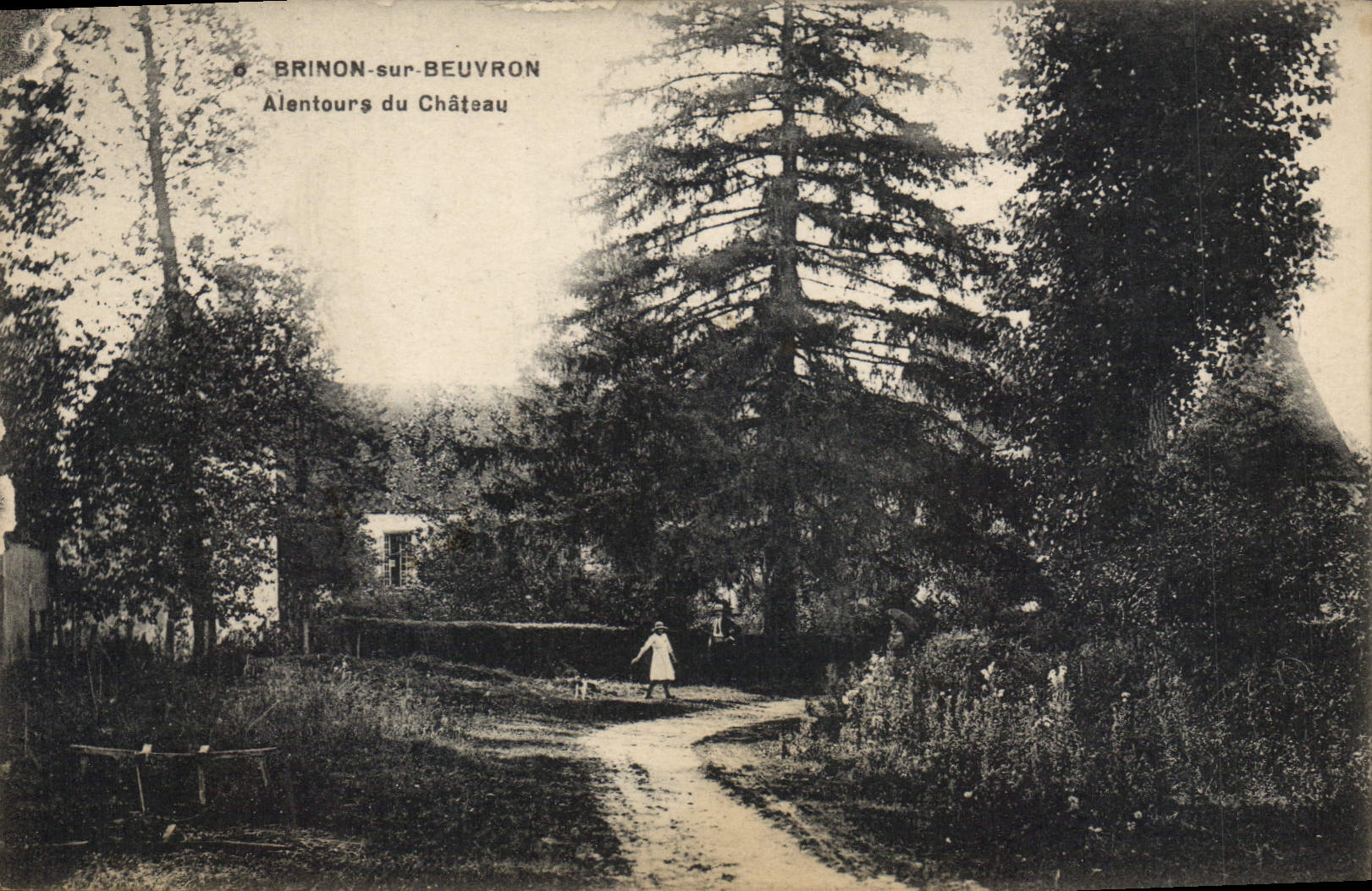 CPA Brinon sur Beuvron Alentours du Chateau 