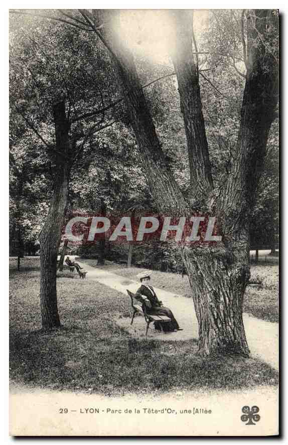 CPA Lyon Parc de la Tete d'Or une Allee 