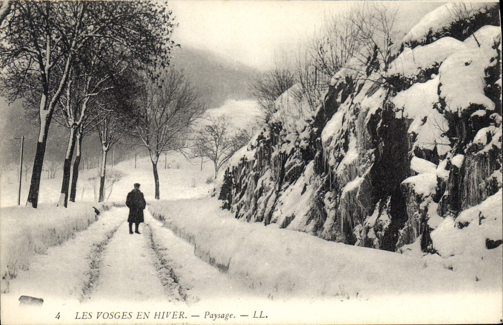 CPA Les Vosges en Hiver Paysage 