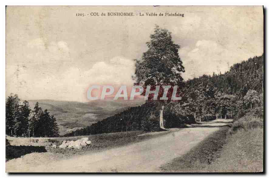 CPA Col du Bonhomme La Vallee de Plainfing 