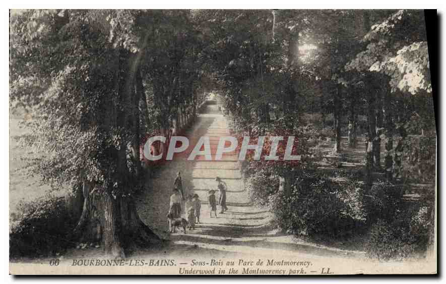CPA Bourbonne les Bains Sous Bois au Parc de Montmorency 