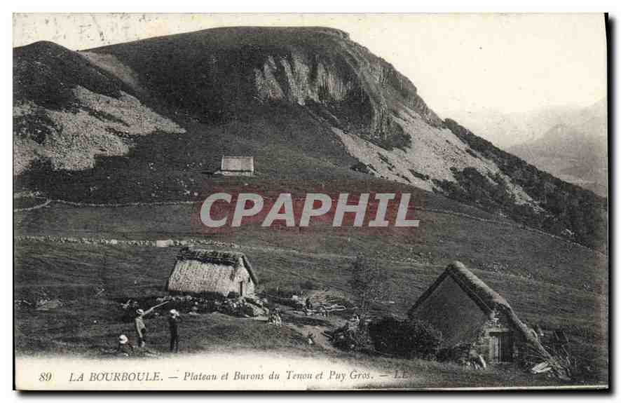 CPA La Bourboule Plateau et Burons du Tenou et Puy Gros 