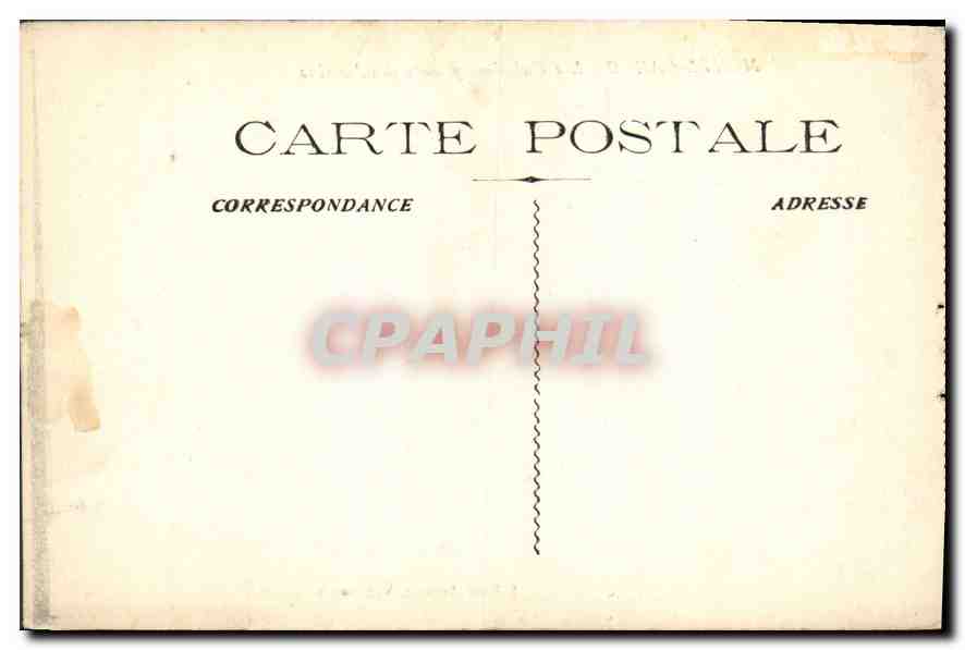 CPA Monte Carlo Les Palmiers geants  — Verso