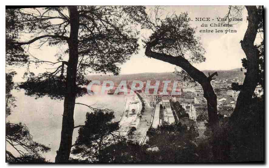 CPA Nice Vue prise du Chateau entre les pins 
