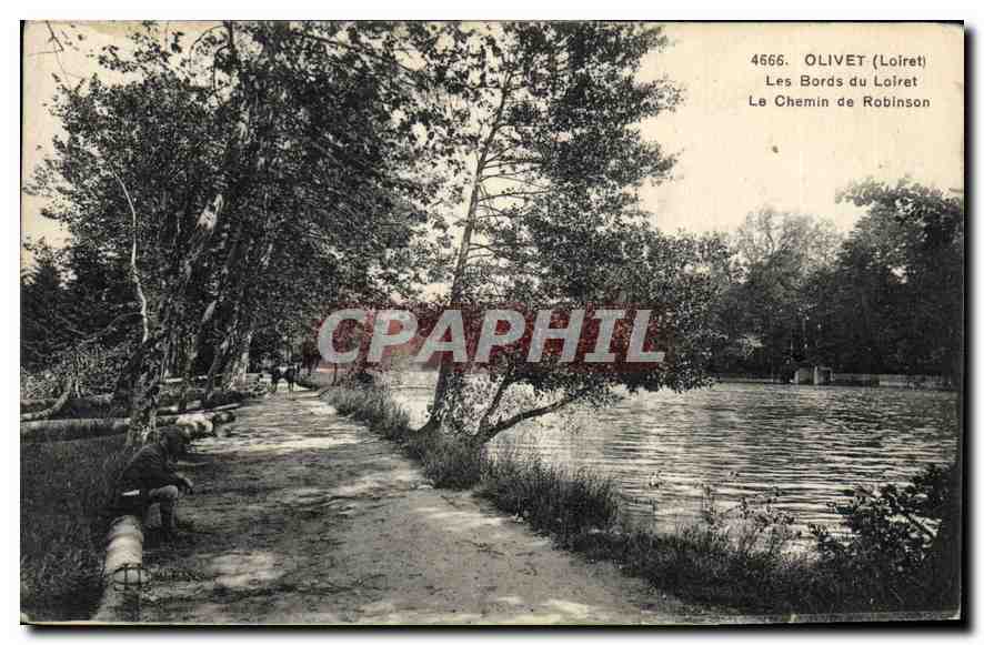 Olivet (Loiret) — Les Bords du Loiret, Le Chemin de Robinson — n° 4566