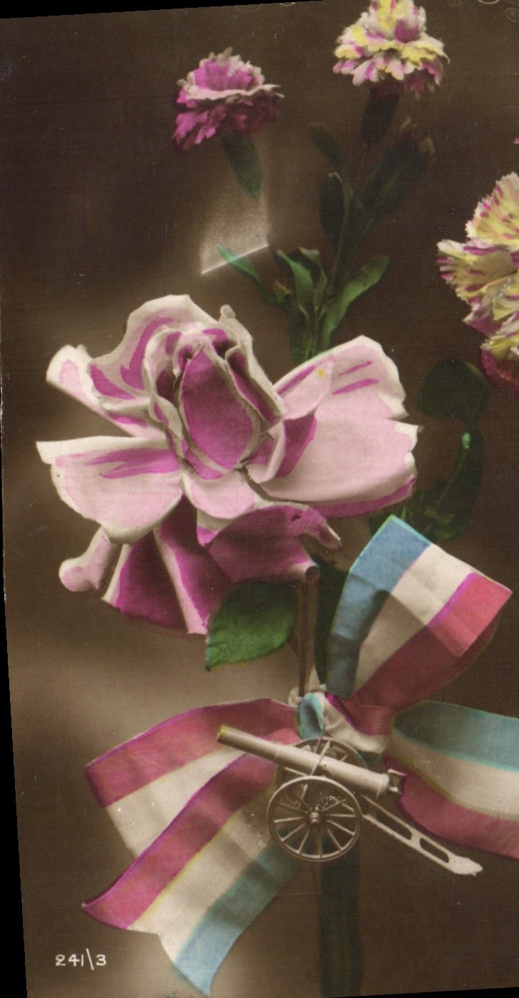CPA Fleurs Canon