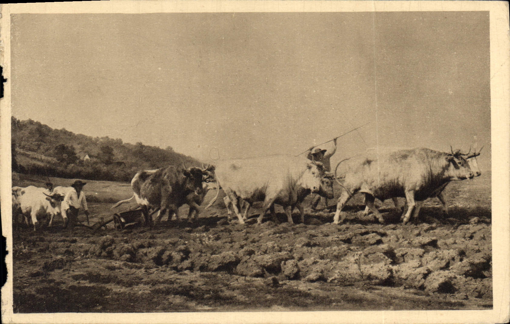 CPA Rosa Bonheur Labourage Nivernais 