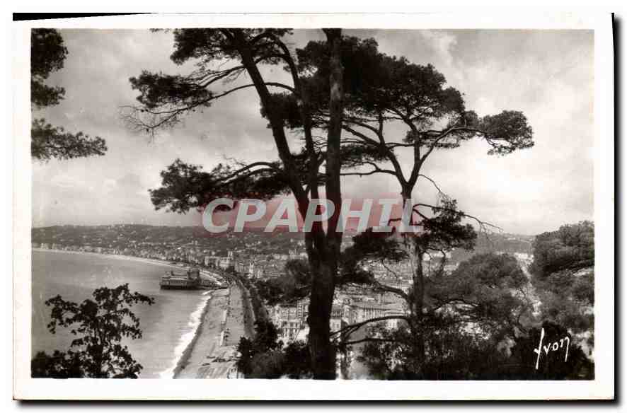 CPA Nice Alpes Mmes Vue generale prise des Jardins du Chateau 