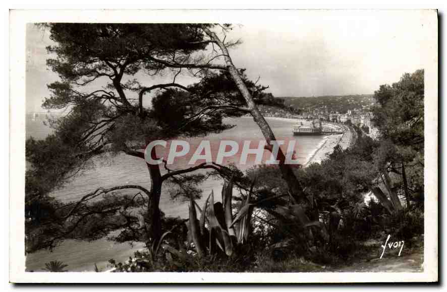CPA Nice Alpes Mmes Perspective sur la Baie des Anges 