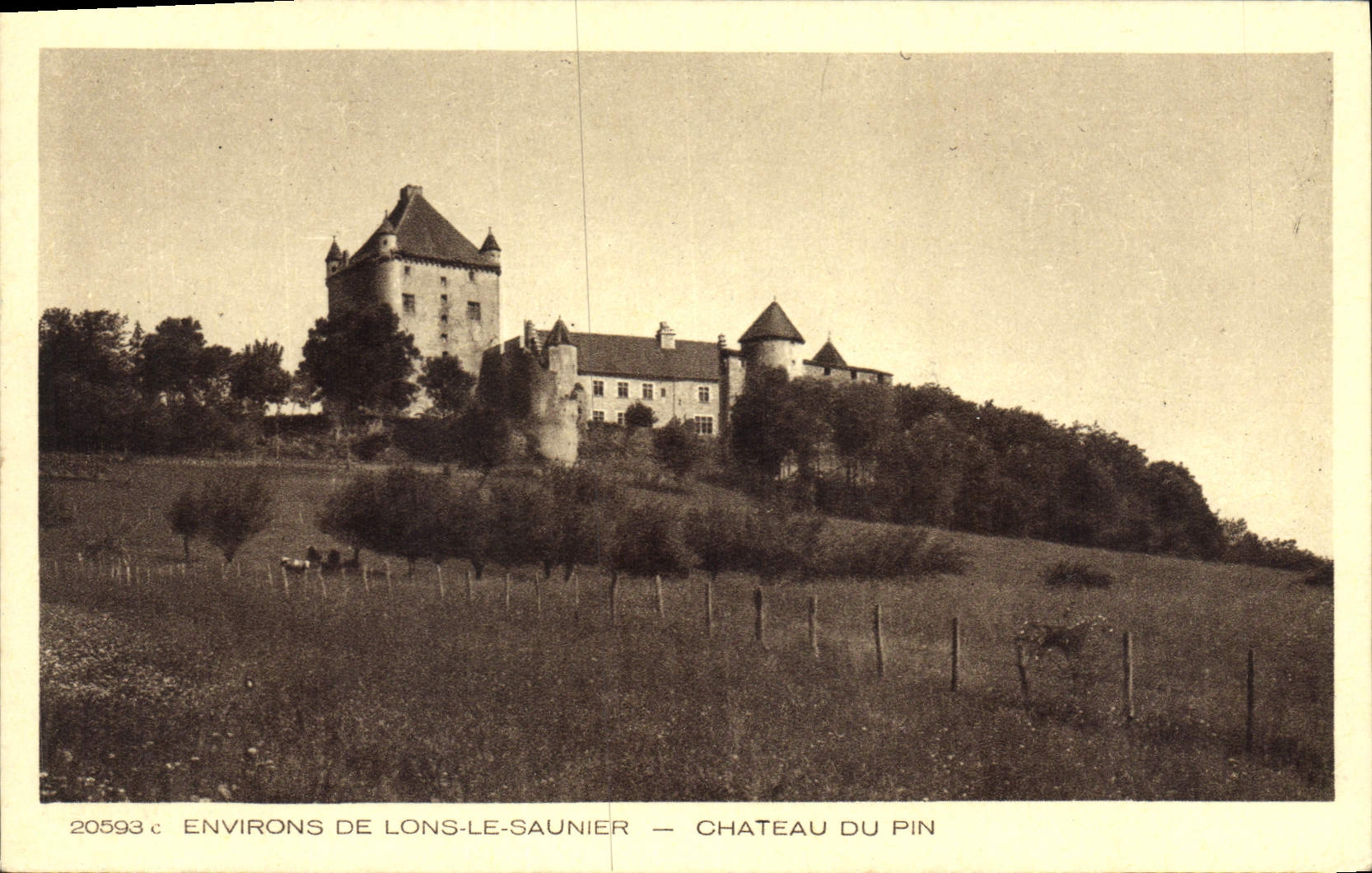 Umgebung von Lons-le-Saunier — Schloss du Pin