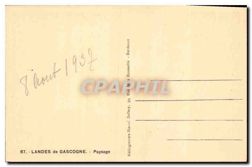 CPA Capbreton sur Mer Paysage Vaches — Rückseite