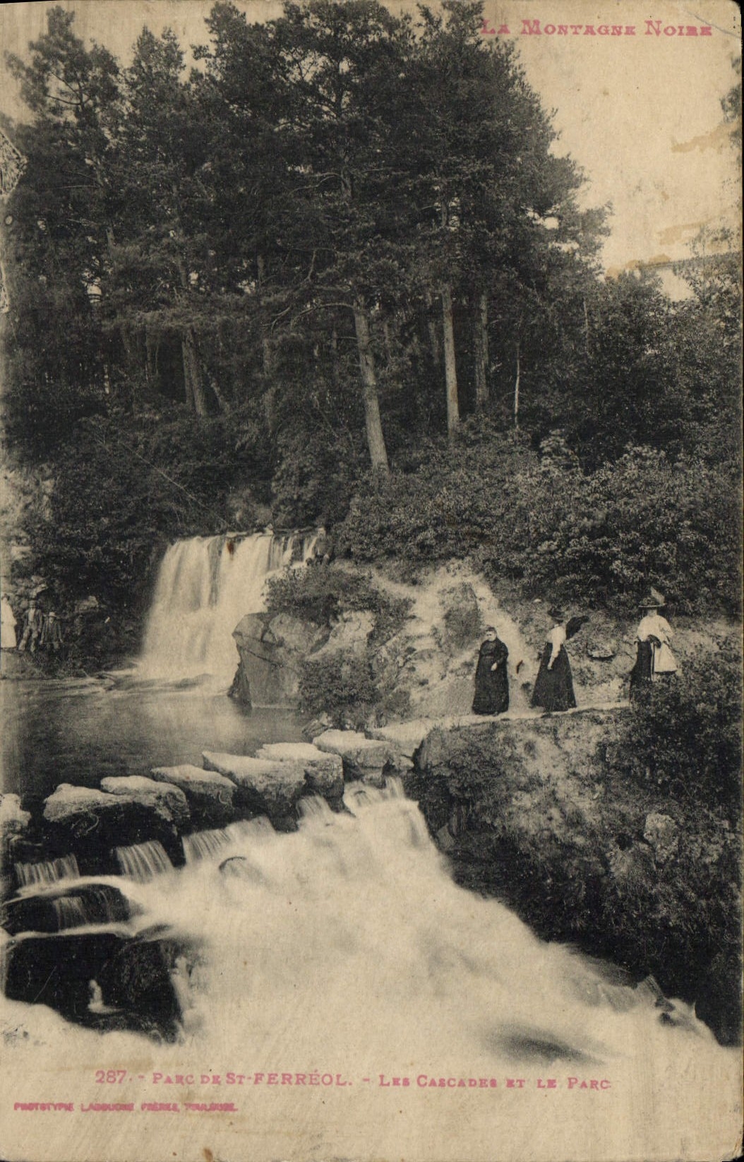 CPA Les Morvagne Noire parc de St Ferreol