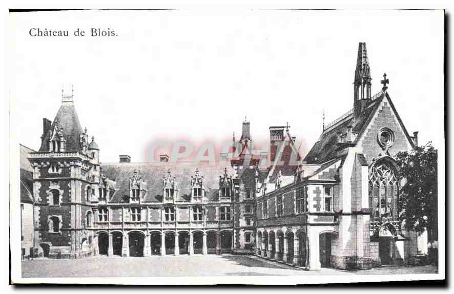 CPA Chateau de Blois 