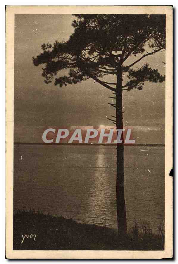 CPA Les Charmes de la Cote d'Argent Mer et foret 
