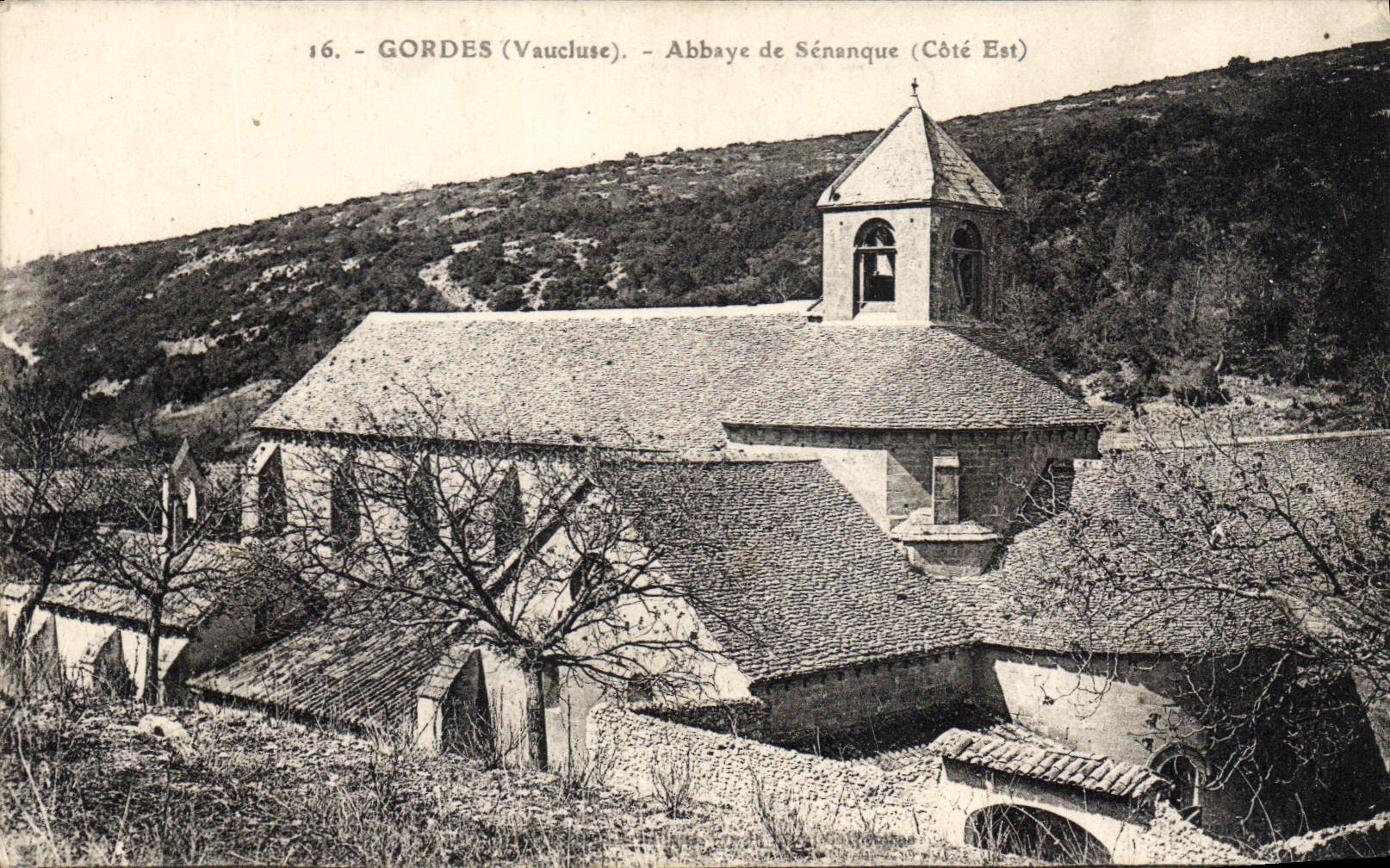 CPA Gordes Vaucluse Abbaye de Senanque Cote Est 