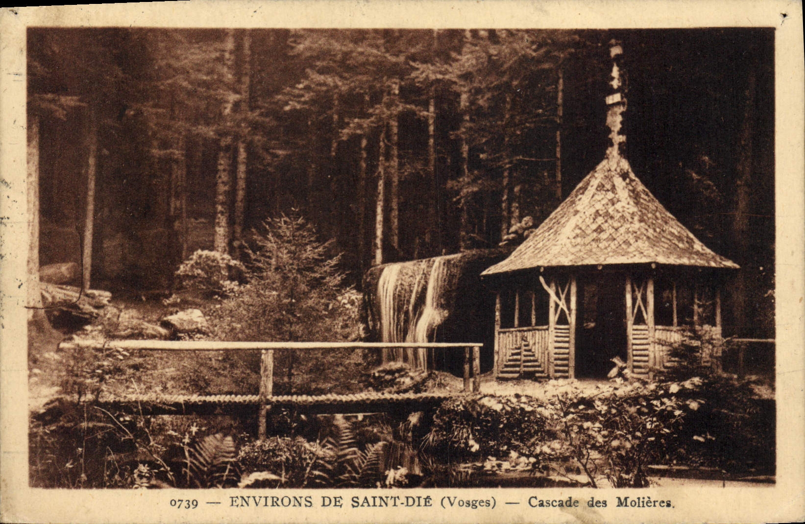 CPA Environs de Saint Die Vosges Cascade des Molieres 