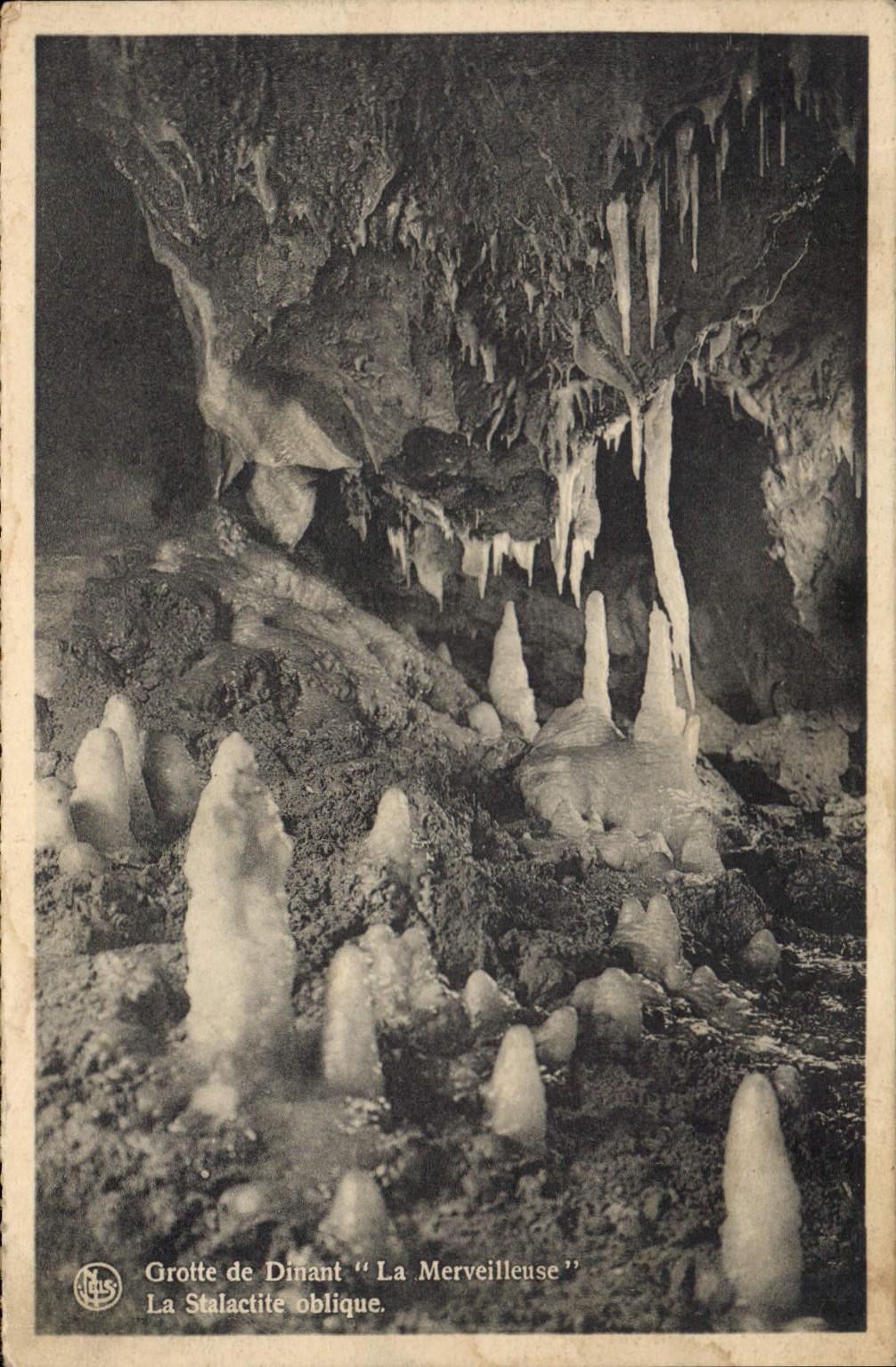 CPA Grotte de Dinant La Merveilleuse Le Stalactite oblique 