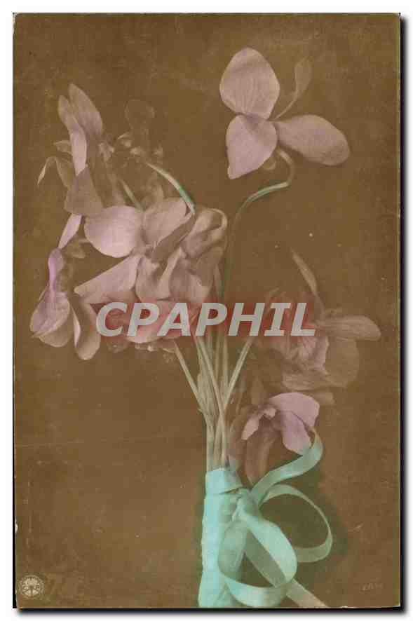CPA Fantaisie Fleurs