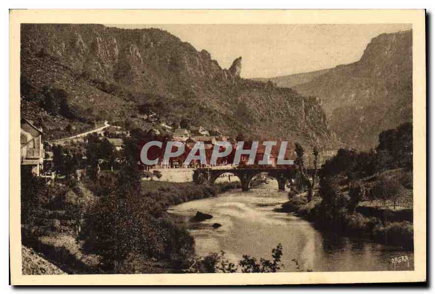 CPA Gorges du Tarn Les Vignes et la Roche Aiguille 