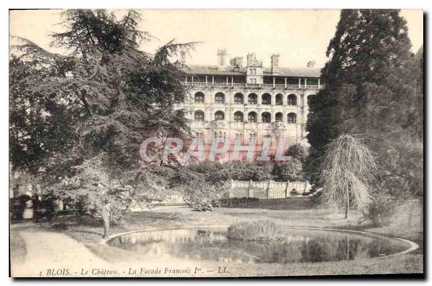 CPA Blois le Chateau la Facade Francois Ier 
