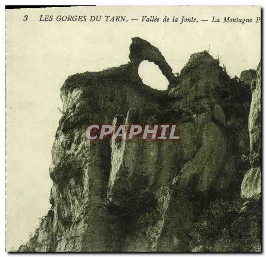 CPA Les Gorges du Tarn Vallee de la Jonie la Montagne 