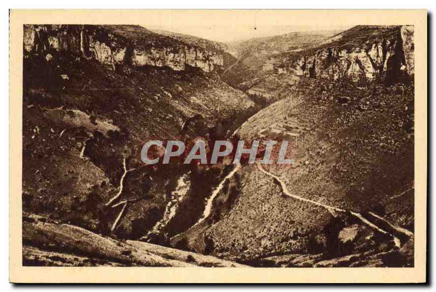 CPA Les Gorges du Tarn La Vallee de la Junte 