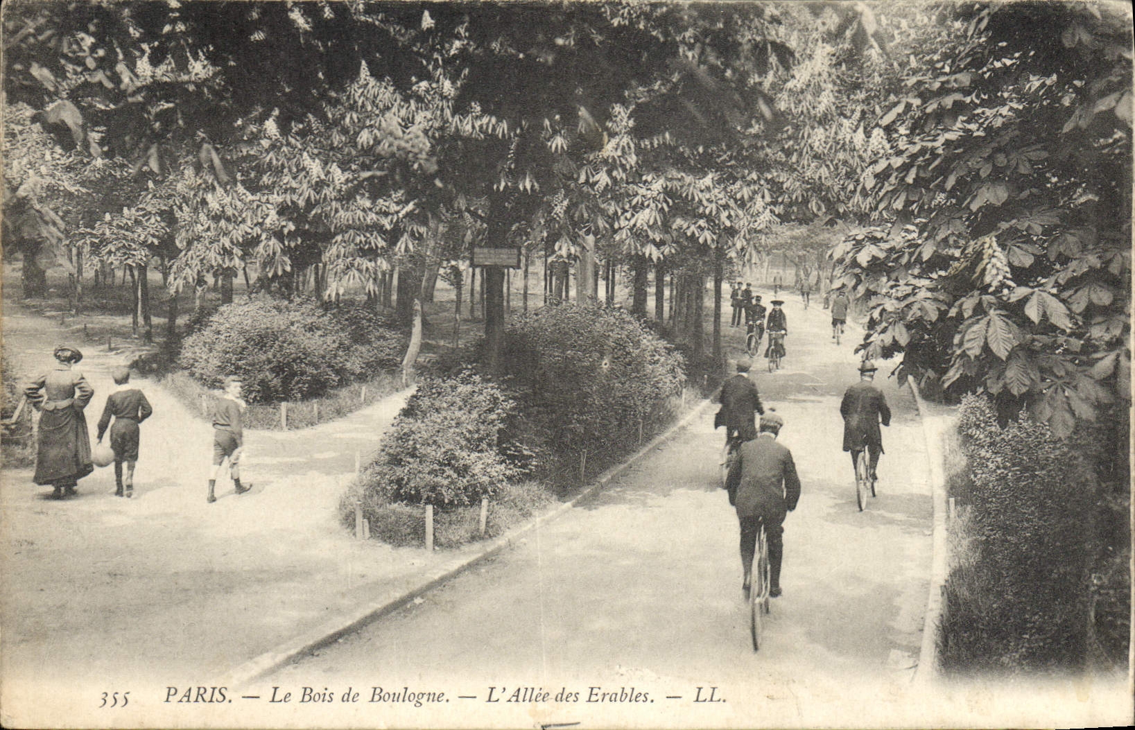 CPA Paris Le Bois de Boulogne l'Allee des Erables 