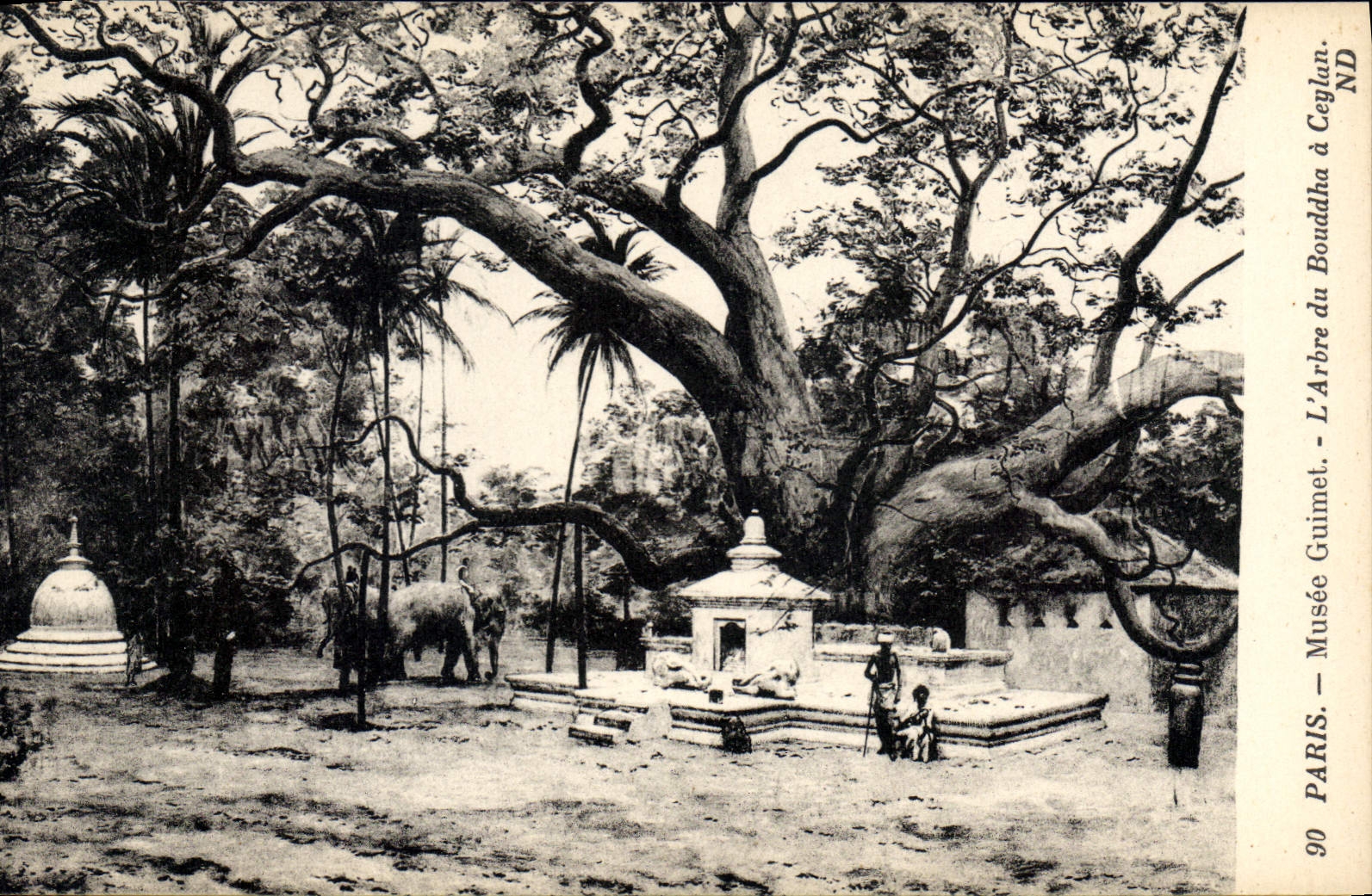 CPA Paris Musee Guimet L'Arbre du Bouddha a Ceylan 