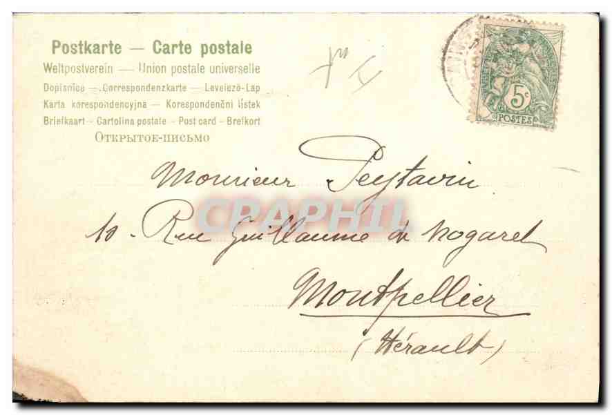 Femme dans un cadre floral — style Art Nouveau — éditeur inconnu, n° 47 — Verso