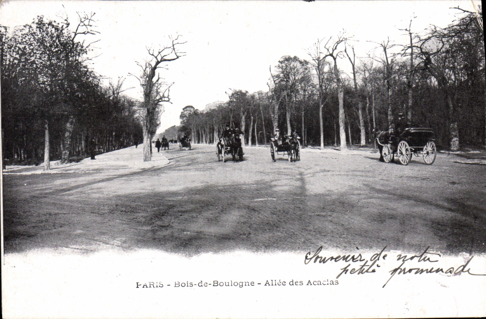 CPA Paris Bois de Boulogne Allee des Acacias 