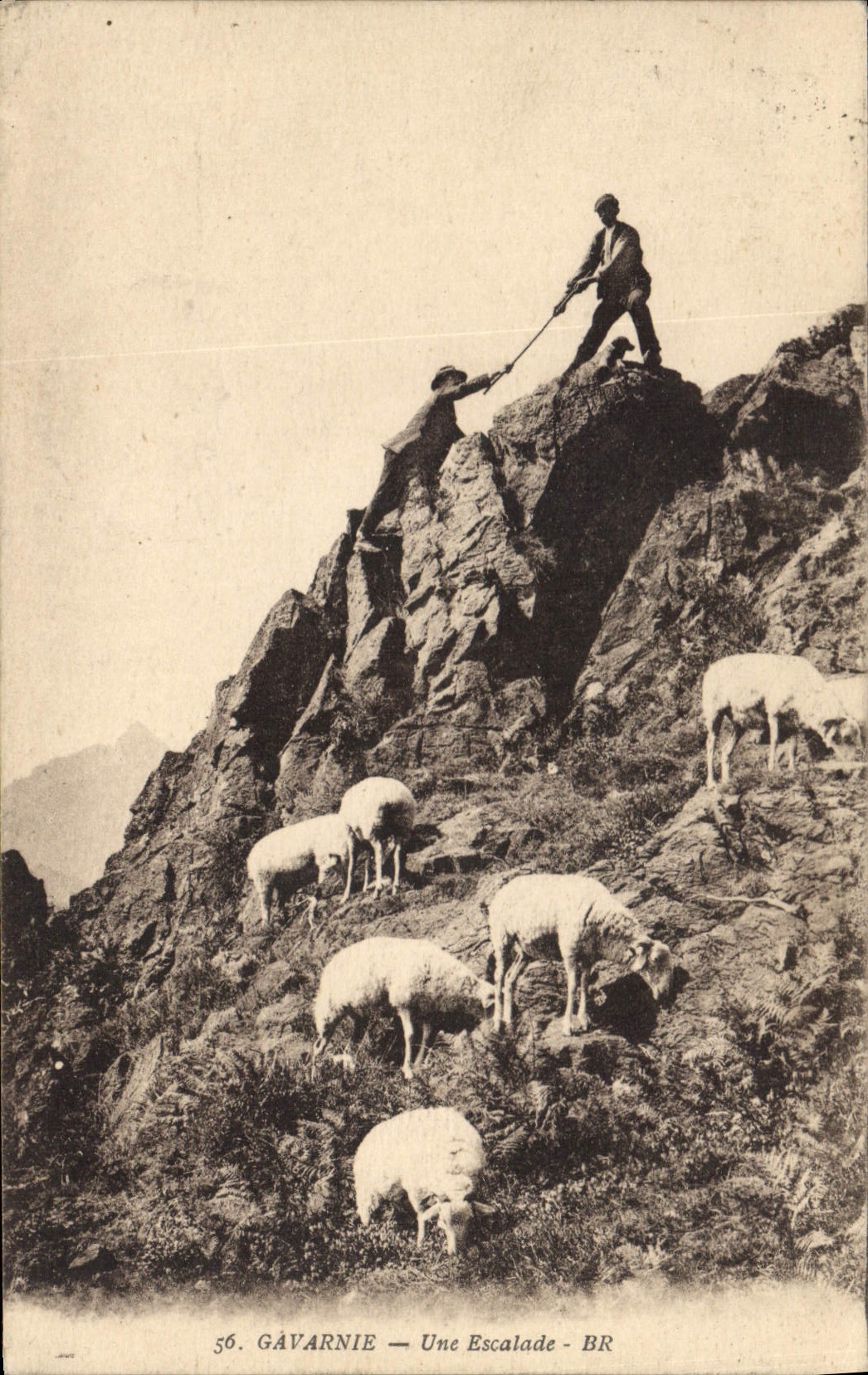CPA Gavarnie Une Escalade Moutons