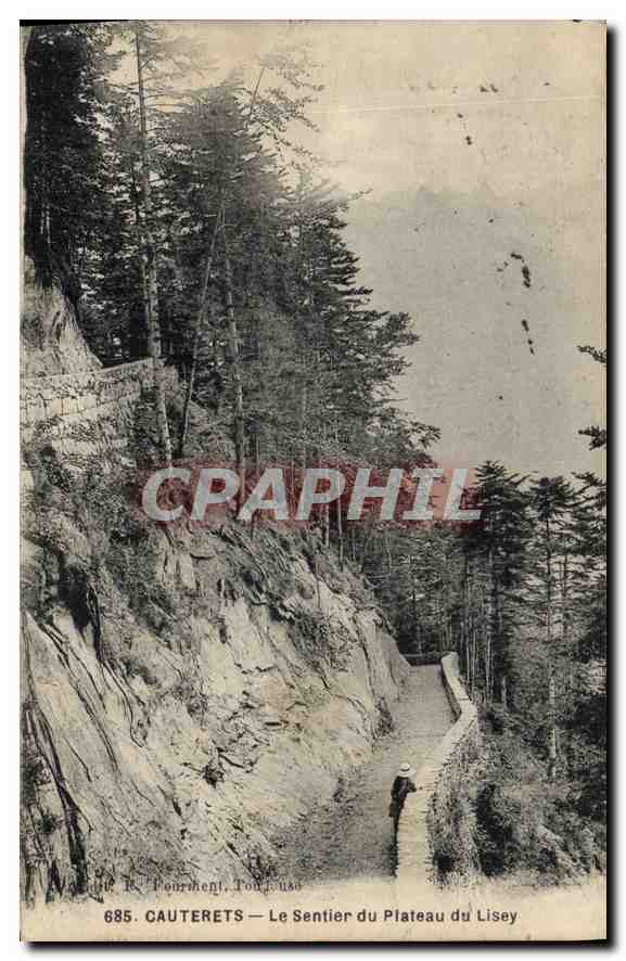 CPA Cauterets Le Sentier du Plateau du Lisey 