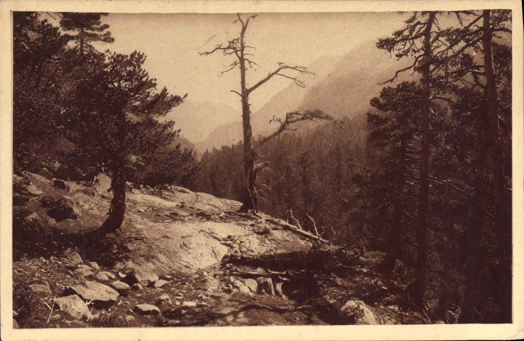 Cauterets - Vallée du Mercadau — Édit. Quillande - Laurides, n° 137