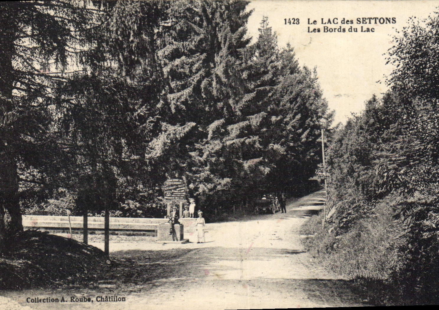 CPA Le Lac des Settons Les Bords du Lac 