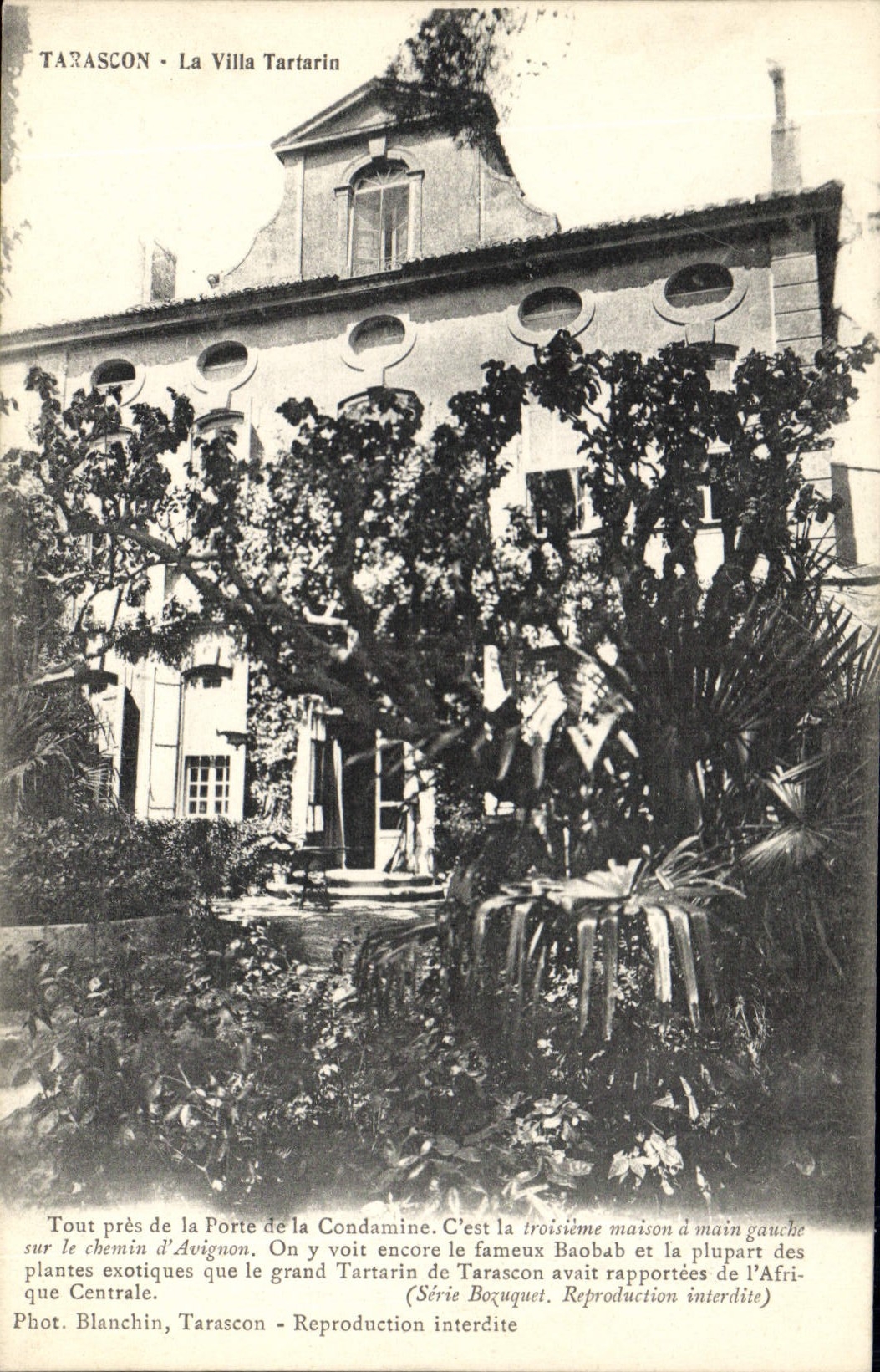 Tarascon - La Villa Tartarin — maison avec baobab et plantes exotiques — Phot. Blanchin, Tarascon, Série Bozuquet