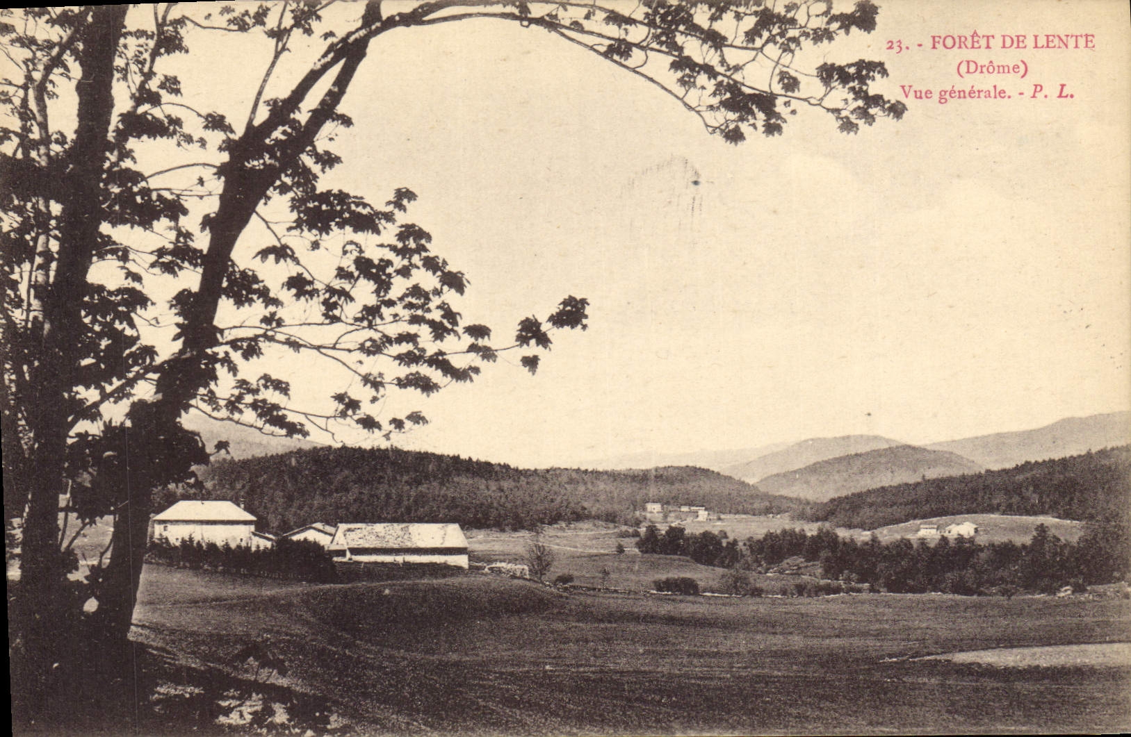 Forêt de Lente (Drôme) — Vue générale — P. L.