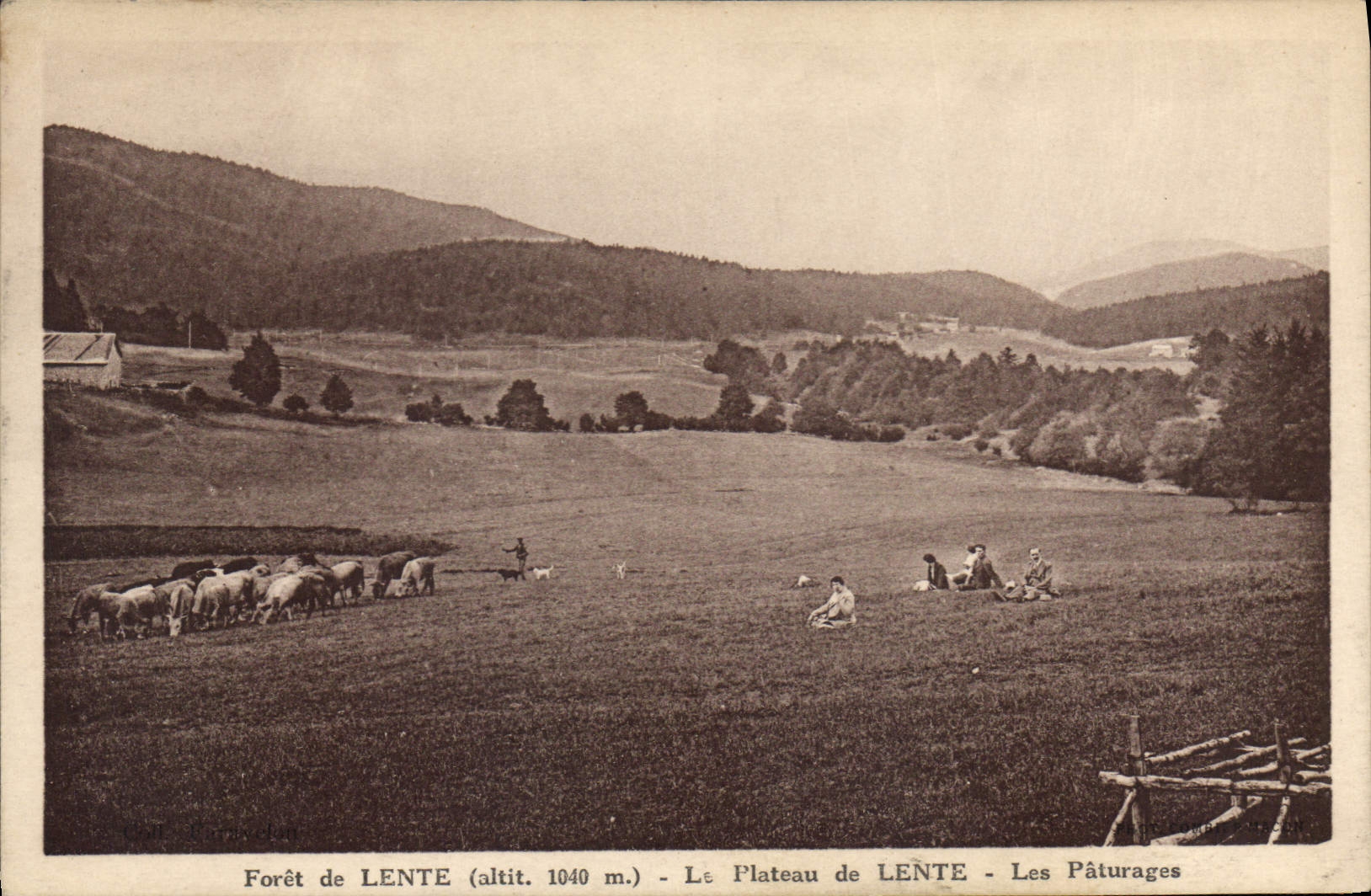 Forêt de LENTE (altit. 1040 m.) — Le Plateau de LENTE — Les Pâturages