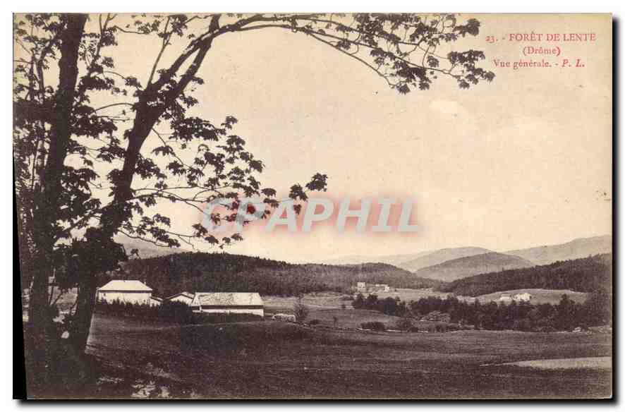 Forêt de Lente (Drôme) — Vue générale — P. L.