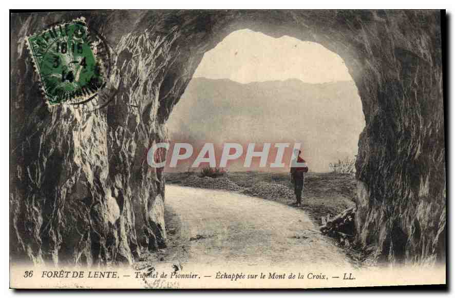 Forêt de Lente — Tunnel de Pionnier — Échappée sur le Mont de la Croix — LL. n°36