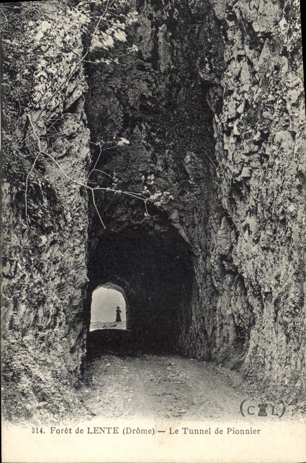 Forêt de LENTE (Drôme) — Le Tunnel de Pionnier — (CIL)