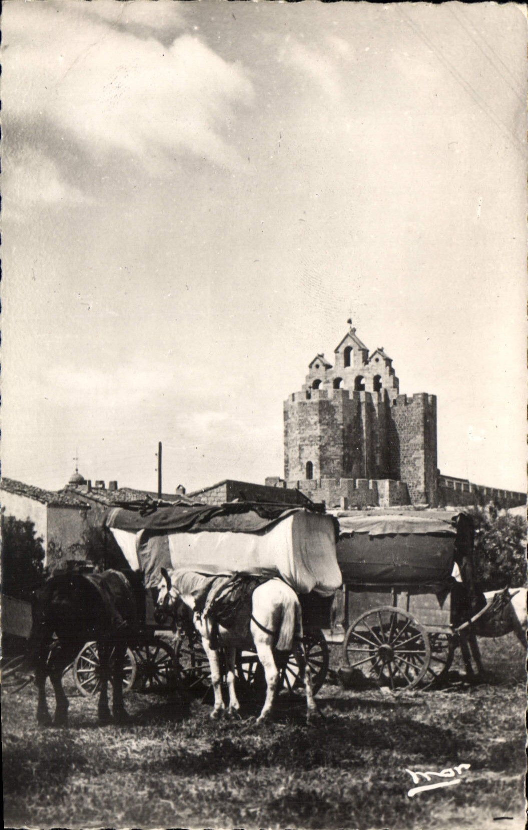 La Camargue — Campo dei Gitani — Les Editions « M.A.I.S. »