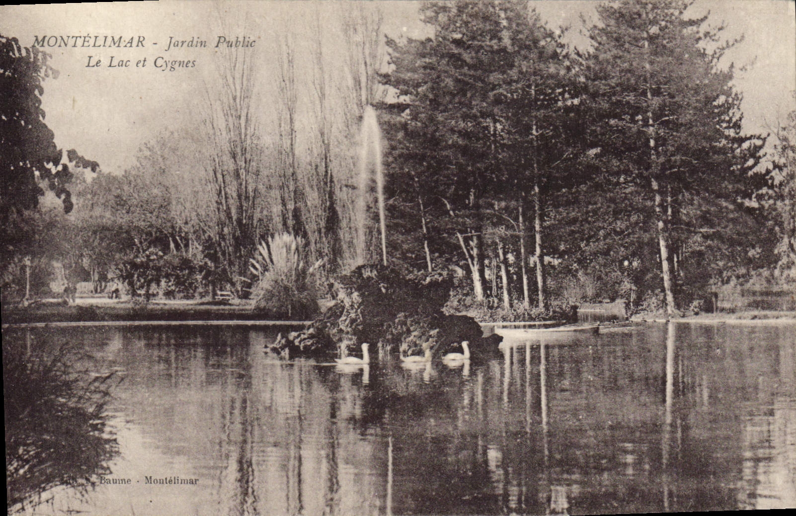 CPA Montelimar Jardin Public Le Lac et Cygnes 