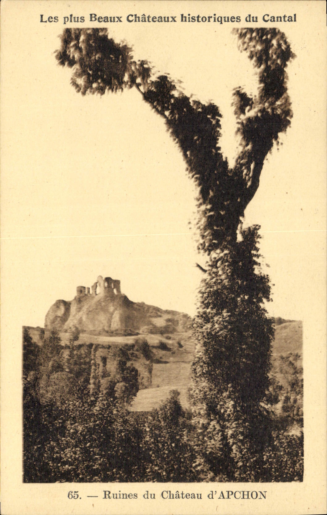 CPA Les plus Beaux Chateaux historique du Cantal Ruines du Chateau d'Apchon 
