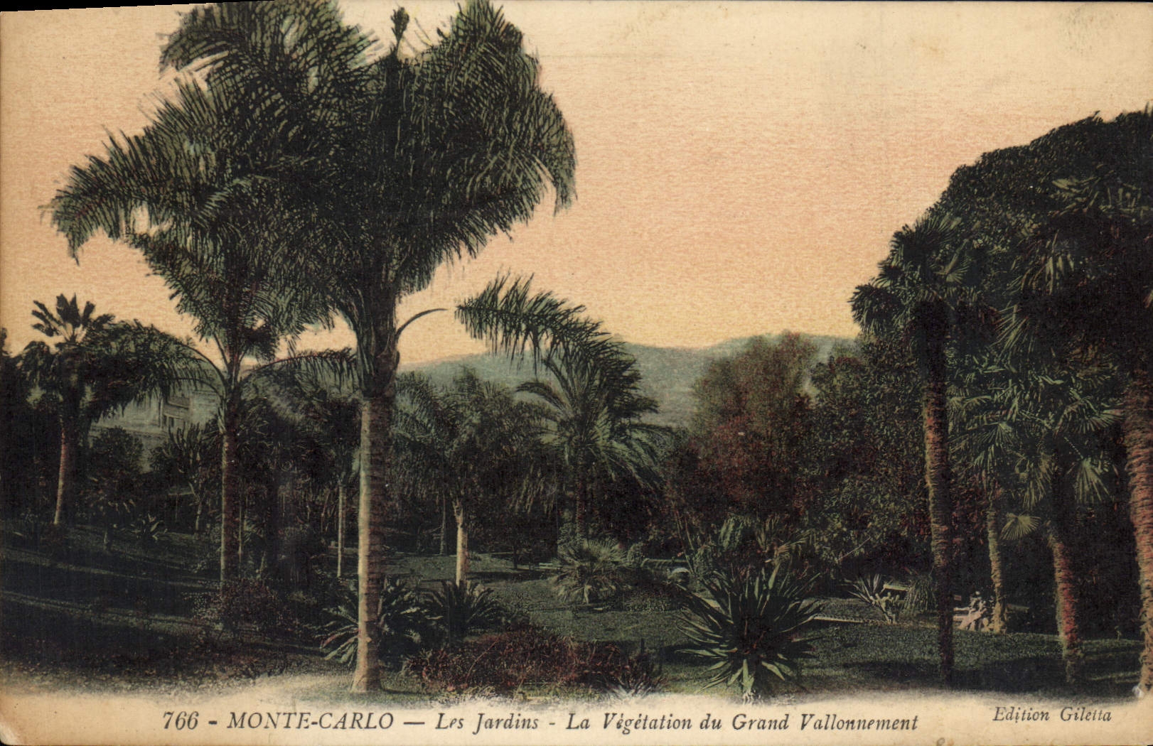 Monte-Carlo — Les Jardins — La Végétation du Grand Vallonnement — Édition Gilelta, n°766