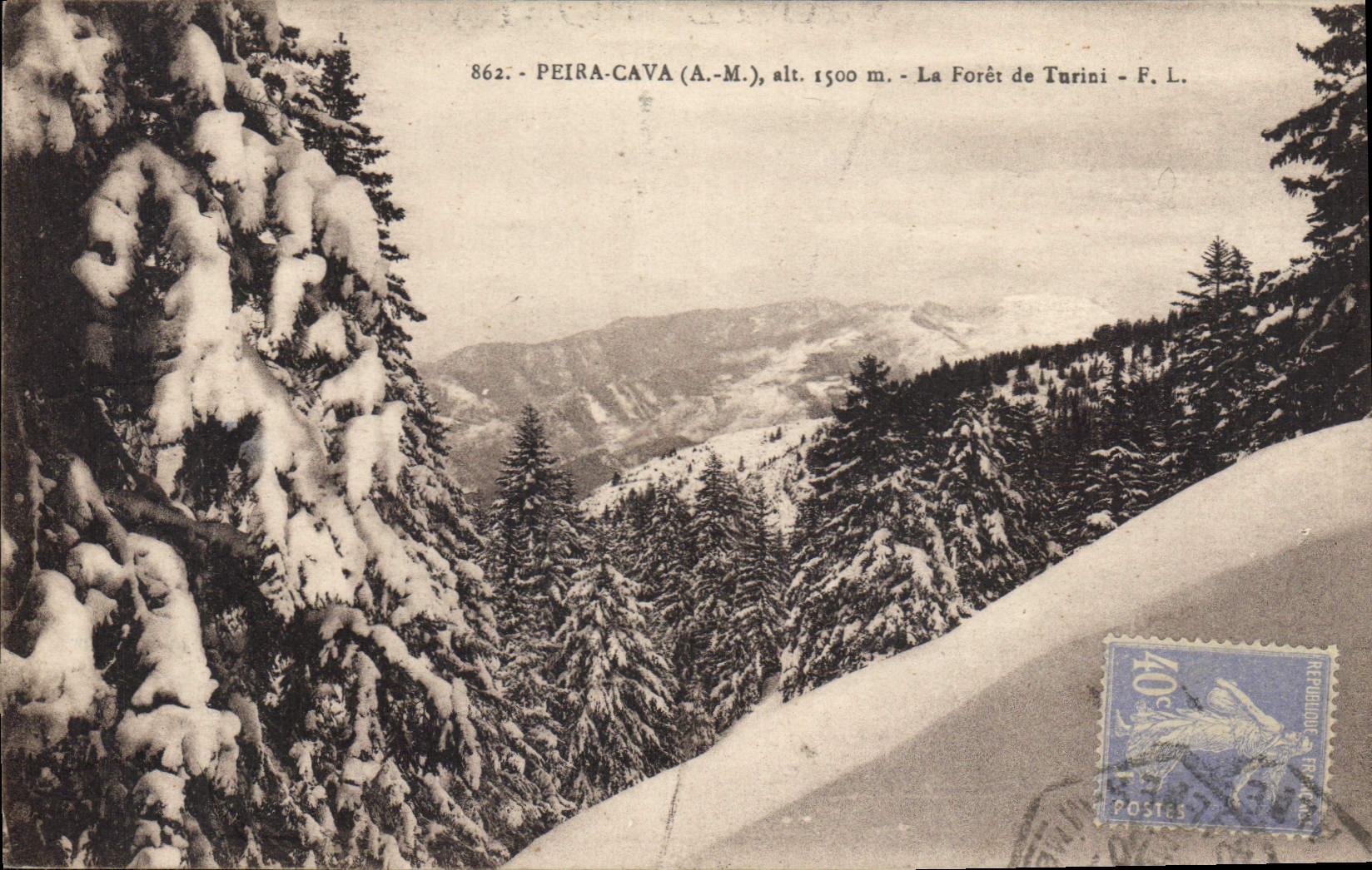Peïra-Cava (A.-M.), alt. 1500 m. — La Forêt de Turini — F. L.