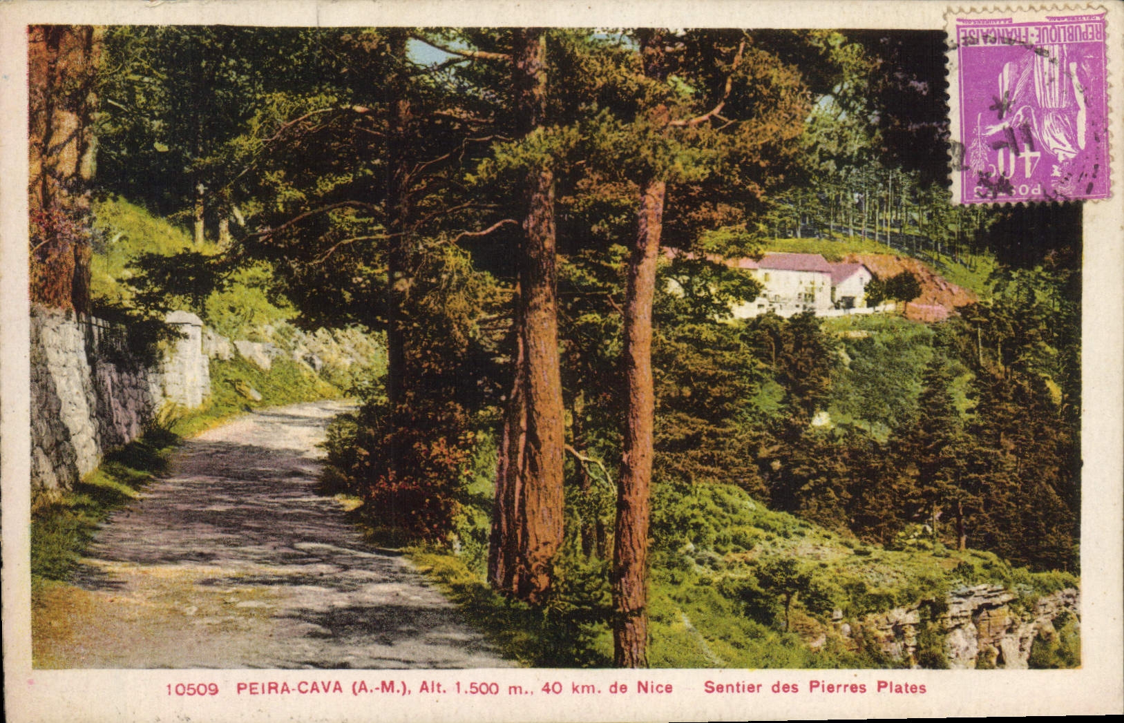 Peïra-Cava (A.-M.) — Sentier des Pierres Plates — éditeur inconnu, n° 10509