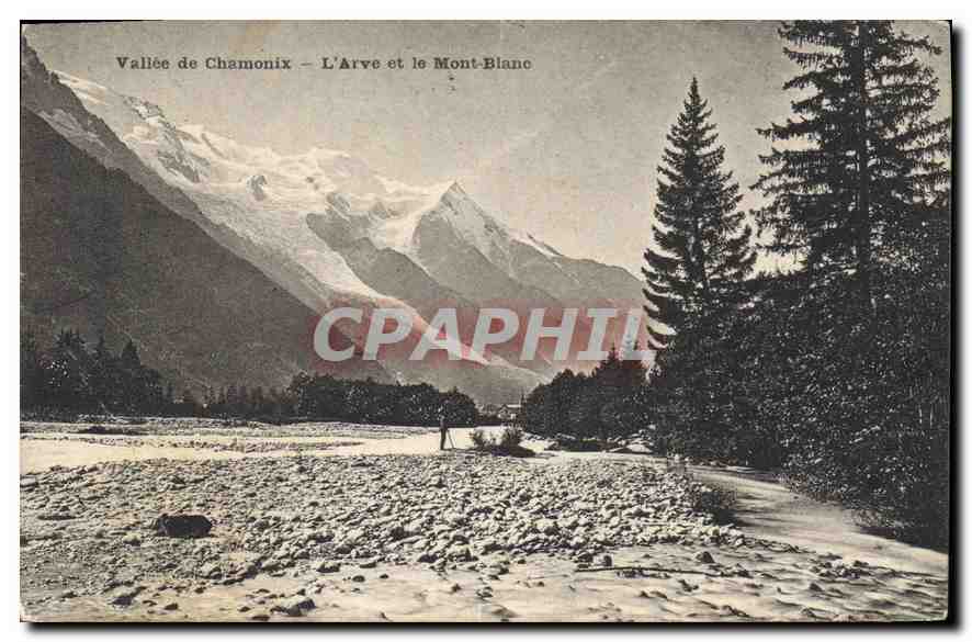 CPA Vallee de Chamonix l'Arve et le Mont Blanc 